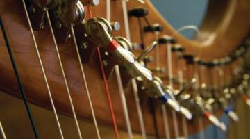 harp strings