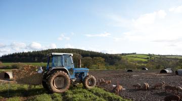 landscape of a farm with a tractor and cows