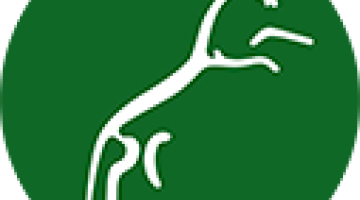 white horse logo